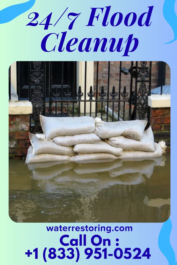 24/7 Flood Cleanup in McIntosh, MN