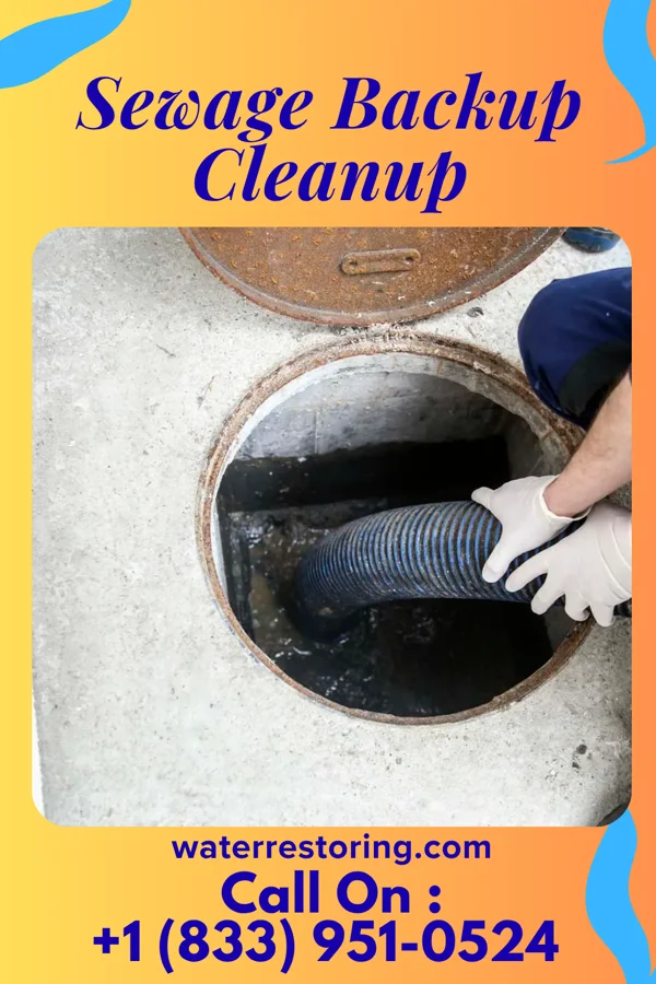 Sewage Backup Cleanup in McIntosh, MN