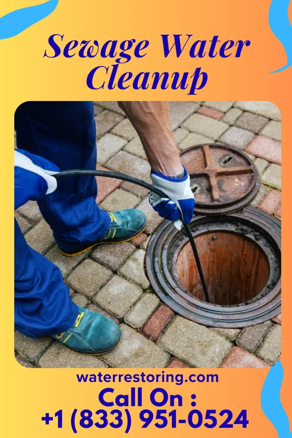 Sewage Water Cleanup in McIntosh, MN